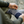 Lightweight Guide Series Mini Crew Fishing & Hunting Socks