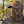 Conceal Lightweight Hunting Face Mask