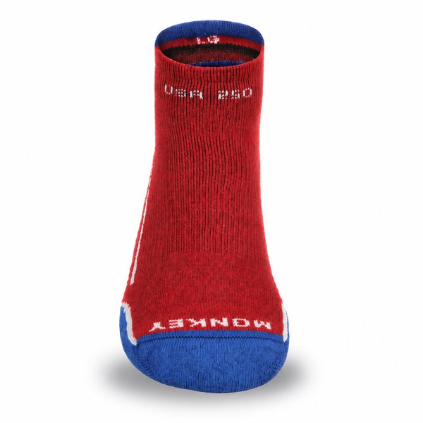Guide Series No-Show Merino Cushioned Socks