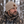 Wooly Head Ribbed Wool Beanie