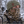 Wooly Head Ribbed Wool Beanie