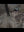 Apex Hunt Waterfowl
